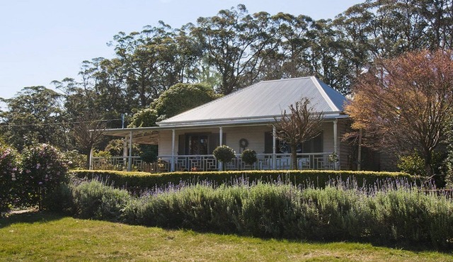 The Tor, Southern Highlands