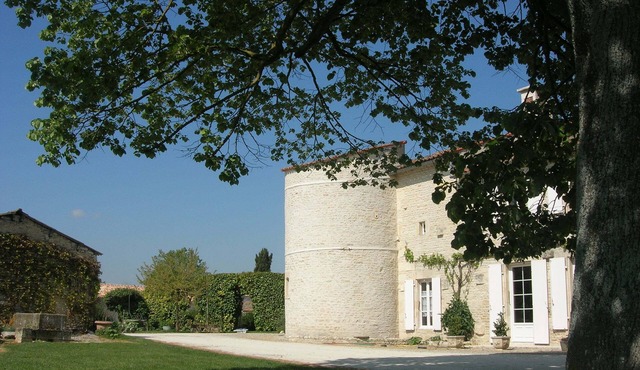 The tower of the old castle: holidays 100% cozy natural