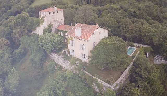 The Tower of Dogs. At the gateway to Chartreuse Park, shops nearby