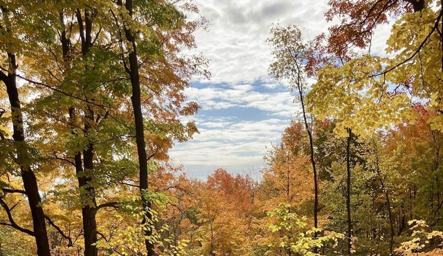 The Trails Retreat (Private Cabin)