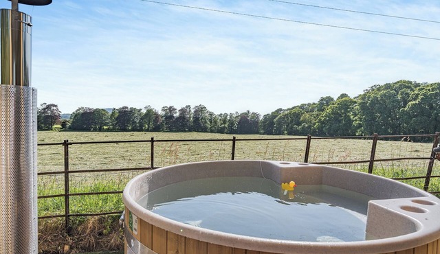 The Tranquil Orchard - Nuthatch-UK32791