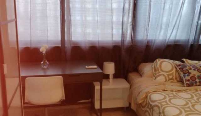 The treasure of punta cana