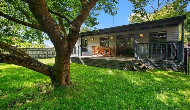 The Tree Cottage - Apollo Bay