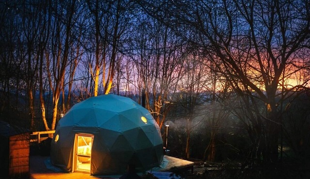 The Tree Dome - Luxurious Glamping Retreat