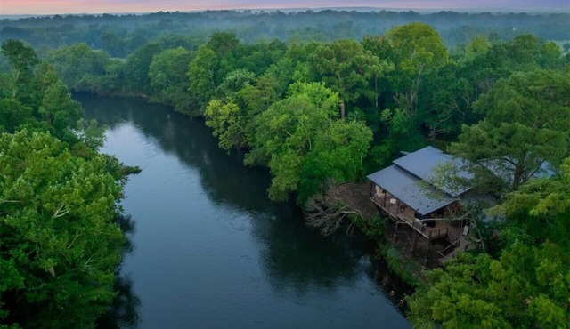 The Tree House Retreat