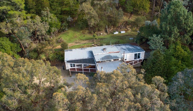 The Tree House retreat is beautifully secluded and elevated amongst the trees.