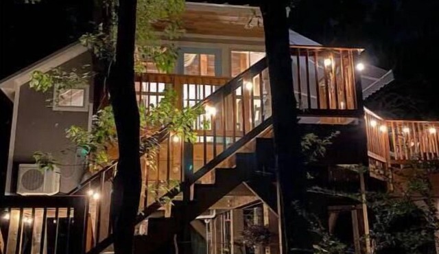 The Tree House Youngsville