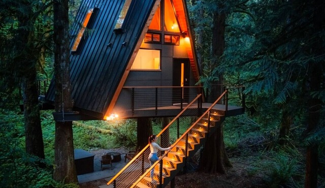 The Treeframe Cabin- Hot Tub + Sauna + Cold Plunge