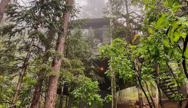 THE Treehouse, Panoramic Views, Coffee Bar, KING Bed