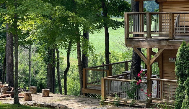 The Treehouse: Unique "Off the Grid" Cabin on the Lost River with stunning views