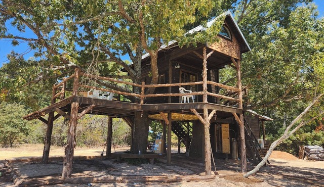 The Treehouse at the Learning Gardens