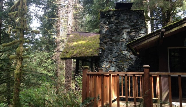 The Treehouse; cabin in the woods, close to town!