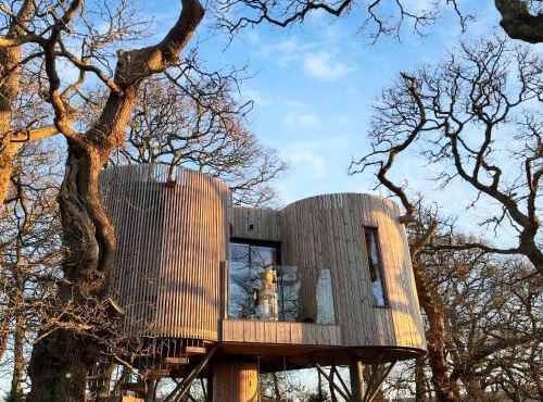The Treehouse Caerlaverock - Uk45028