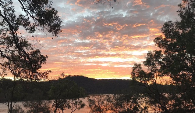 The Treehouse @ Milsons Passage (Water Access Only!)