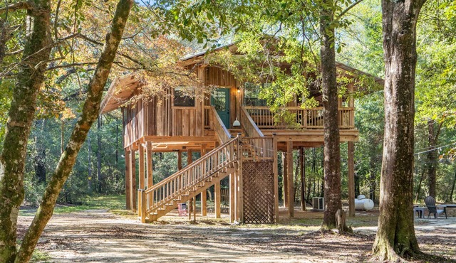 The Treehouse: Peaceful Cabin Close to PCB and 30A