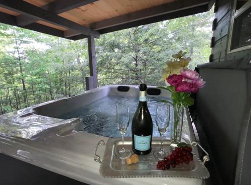 The Treehouse TN Honeymoon Cabin HOT TUB - in BSF!