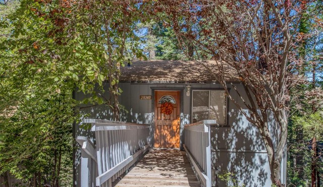 The Treehouse