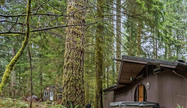 The Treehouse + Writer's Cabin