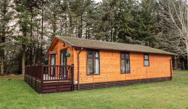 THE TREELINE, pet friendly, with a garden in Felton