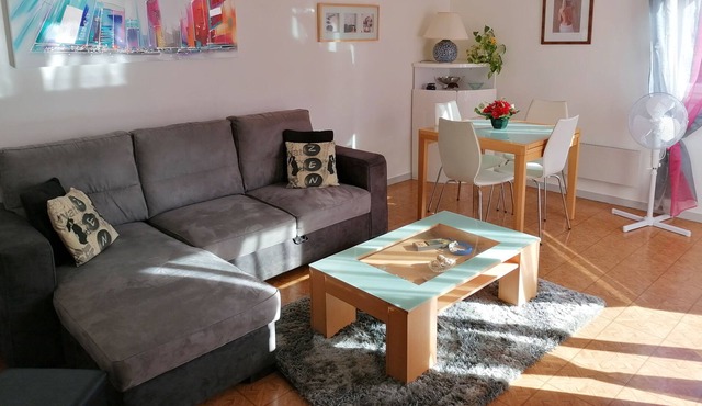 The tricolour 🌈 #A4