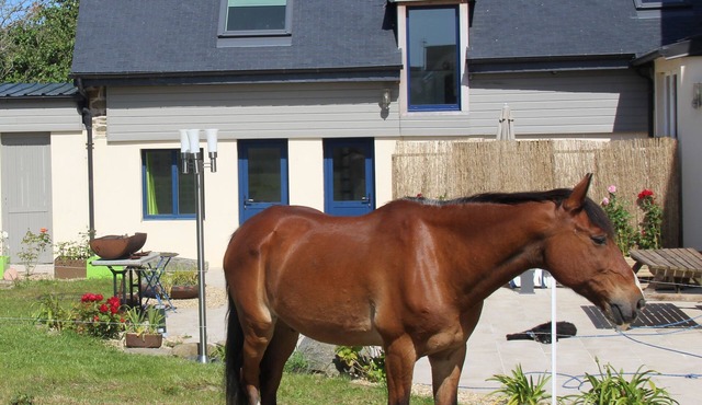 THE TRISKEL - maisonette for 4 people near the beach