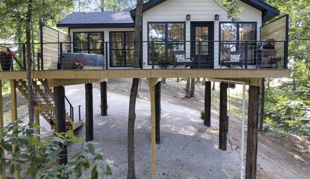 The Twisted Sassafras Treehouse
