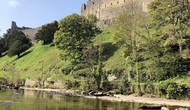 The Unicorn Richmond