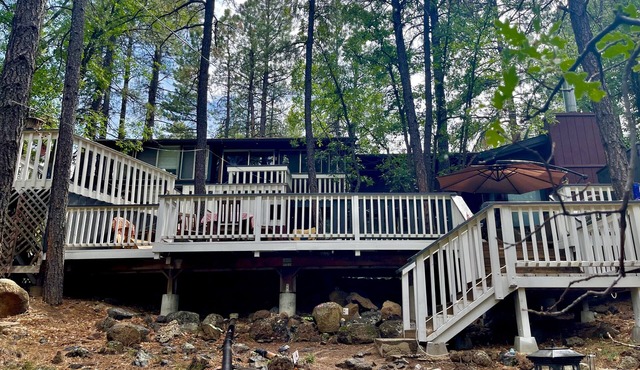 The Unique Squirrels Nest nestled in the Woods! We are pet friendly.