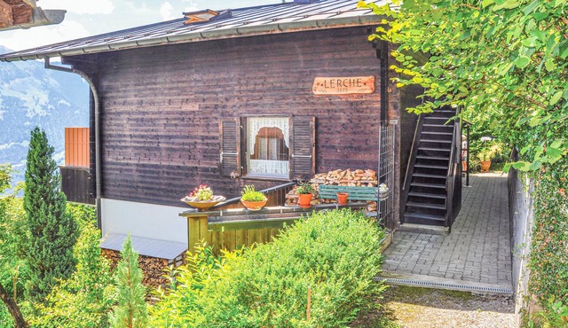 The vacation apartment Lerche is located in the beautiful Bernese Oberland in the middle of the quie