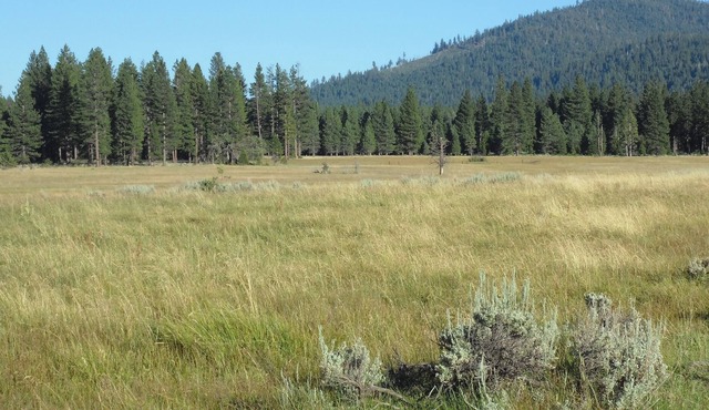 The Valley House- Unit 1 In Beautiful Sierraville