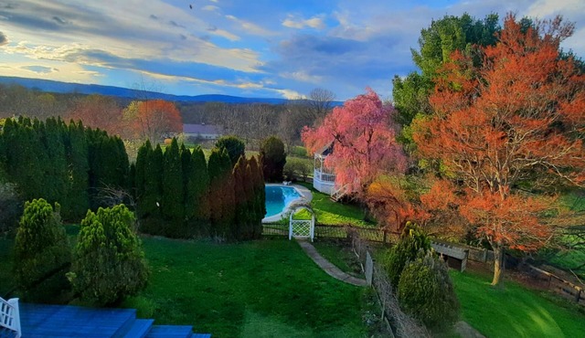 The Van Gogh Room in Villa