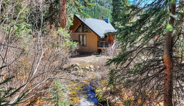 The Velvet Moose Minutes to Breck Cozy, Upgraded Breck Mountain Retreat