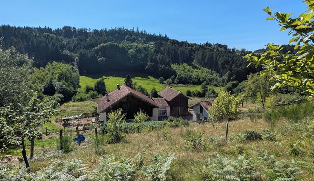 The very isolated Vosges Mountain Chalet with private spa