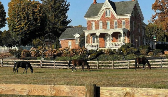 The Victorian View–Oley, PA. Relax, Unwind, & Enjoy the Countryside with pool!