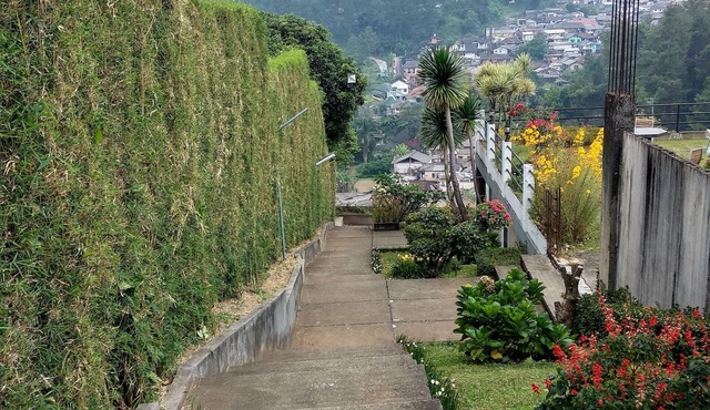 The View Villa
