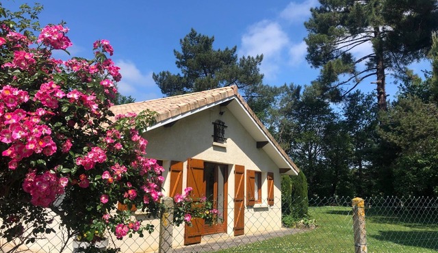 The villa in the middle of the pines 6/8 persons air-conditioned