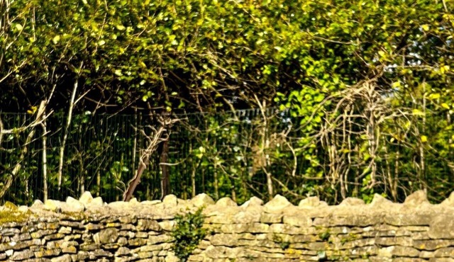 The Villa - Rustic Chic 3BD with Private Garden!