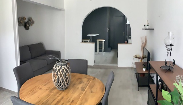 The Vineyard and the Loire river