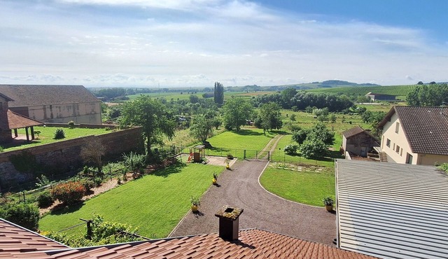 The vineyard horizon, wine route