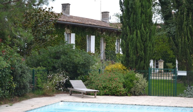 The vineyards of Camperos