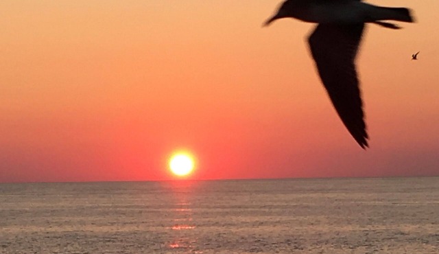 The Water Is Still Warm!