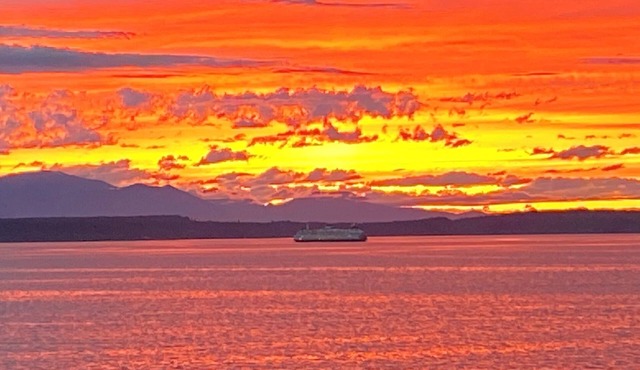 The Waterfront Gray- Retreat on Alki Beach