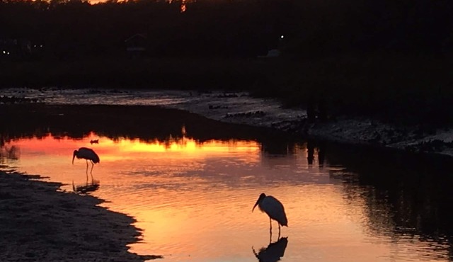 The Waters Edge 2/1 with Boat Dock in back yard
