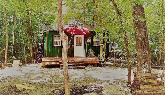 The Watertree Tiny House at Twig City Farm!