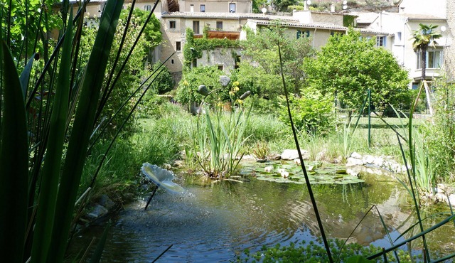 The wealth of nature in the heart of a village