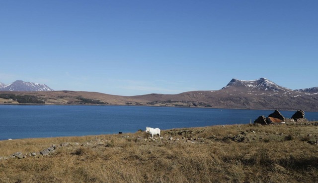 THE WEE BARN, pet friendly, with open fire in Dundonnell