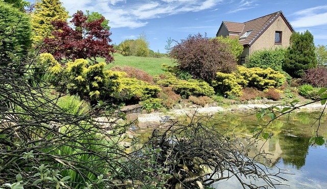 The Wee Firs, escape into the Countryside