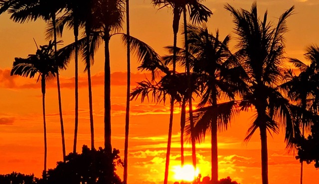 The Westword- oahu—pure beauty Natural place