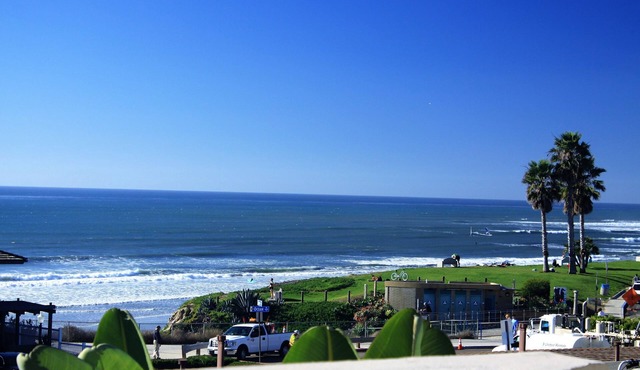 The Whale Ocean View Pacific Beach