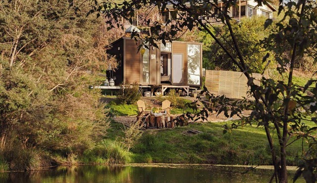 The Whistling Frog by Tiny Away